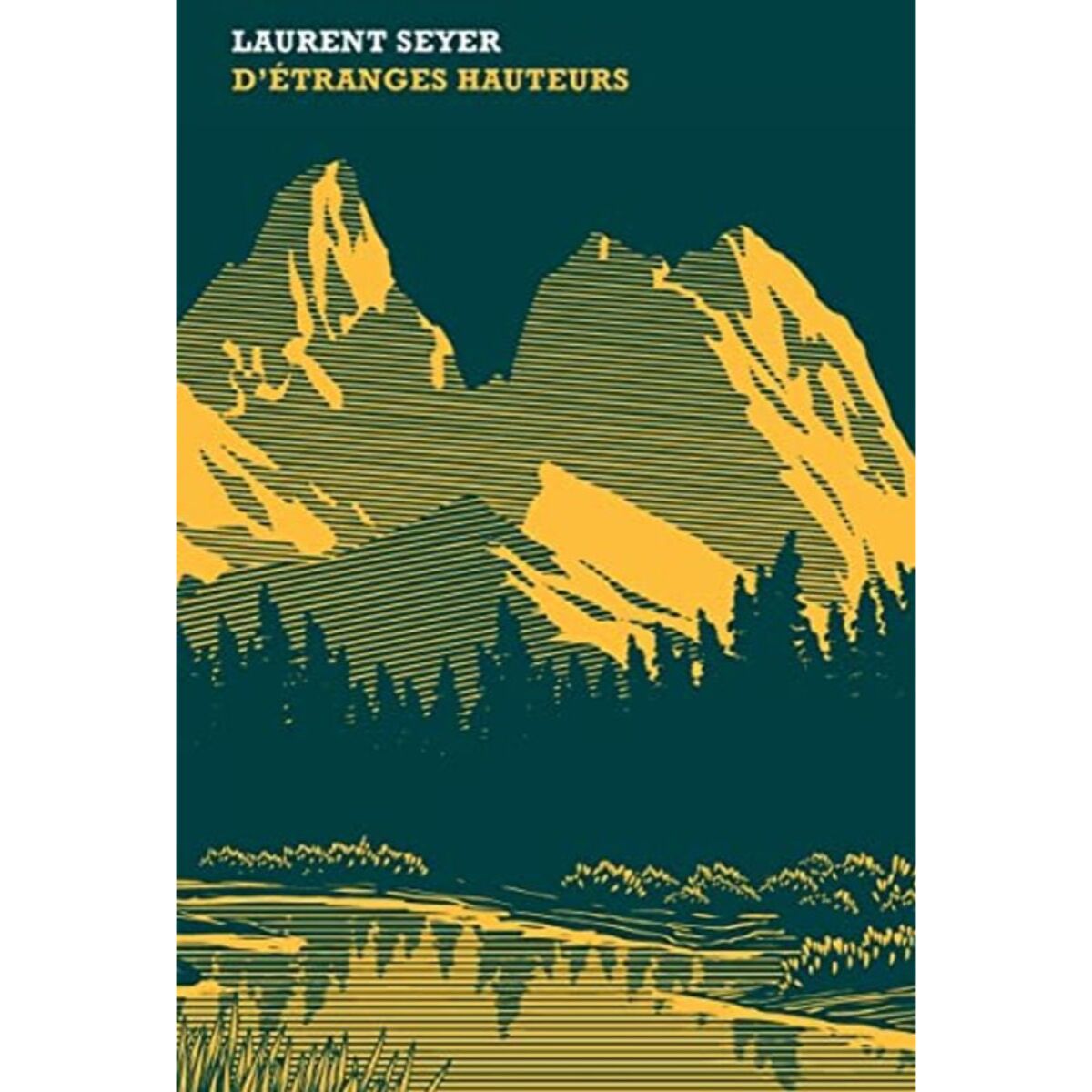 Seyer, Laurent | D'étranges hauteurs | Livre d'occasion