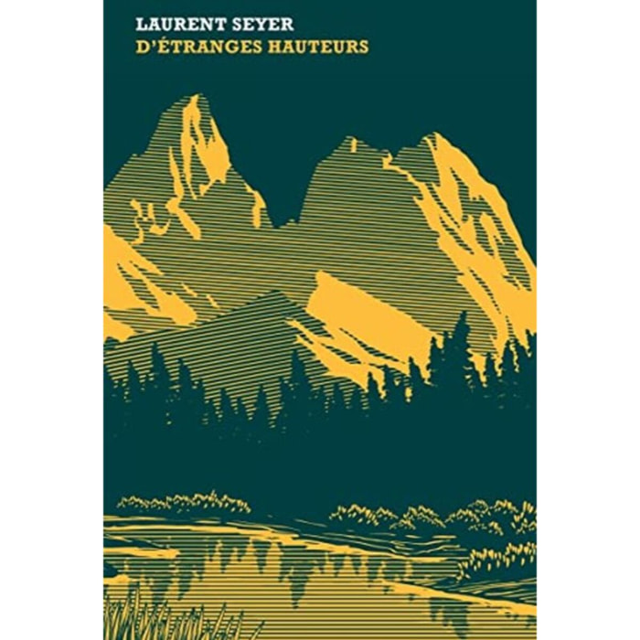 Seyer, Laurent | D'étranges hauteurs | Livre d'occasion