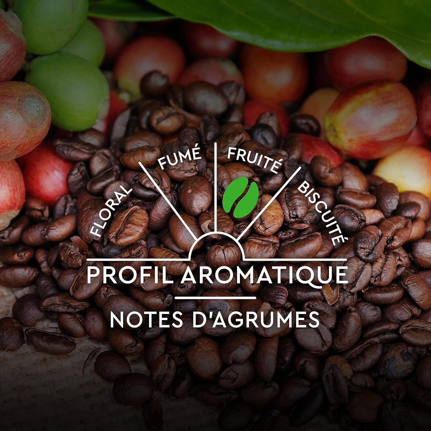 Espresso Bio n°5 x30 - Capsules compatibles Nespresso en aluminium