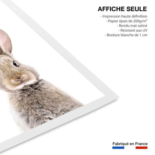 Affiche enfant bébé lapin Affiche seule