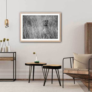 Affiche animaux Cheetah Affiche sous cadre bois