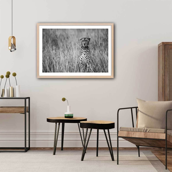 Affiche animaux Cheetah Affiche sous cadre bois