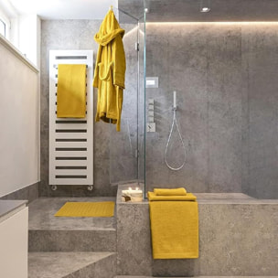 INTRECCI HOME Set Bagno 2 Asciugamani Ospite, in Puro Cotone 500 g,Morbidezza Extra, Assorbenza Superiore, Elegante e Durevole