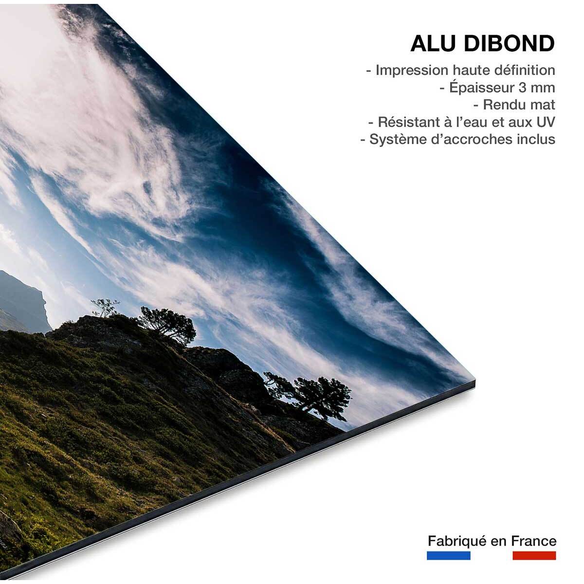 Tableau vallée d'ossau Tableau alu Dibond
