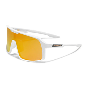 Gafas De Sol Deportivas D. Franklin