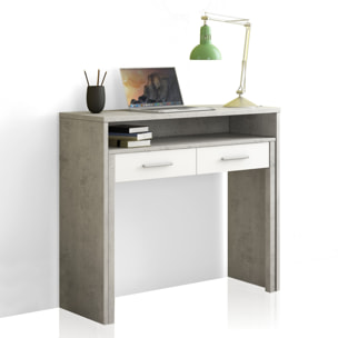 Tomasucci Console / Bureau CIMENT CACHÉ Multicolore