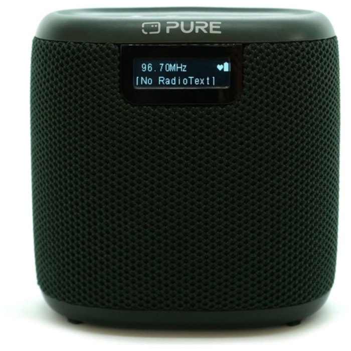 Radio DAB PURE Woodland Mini Green