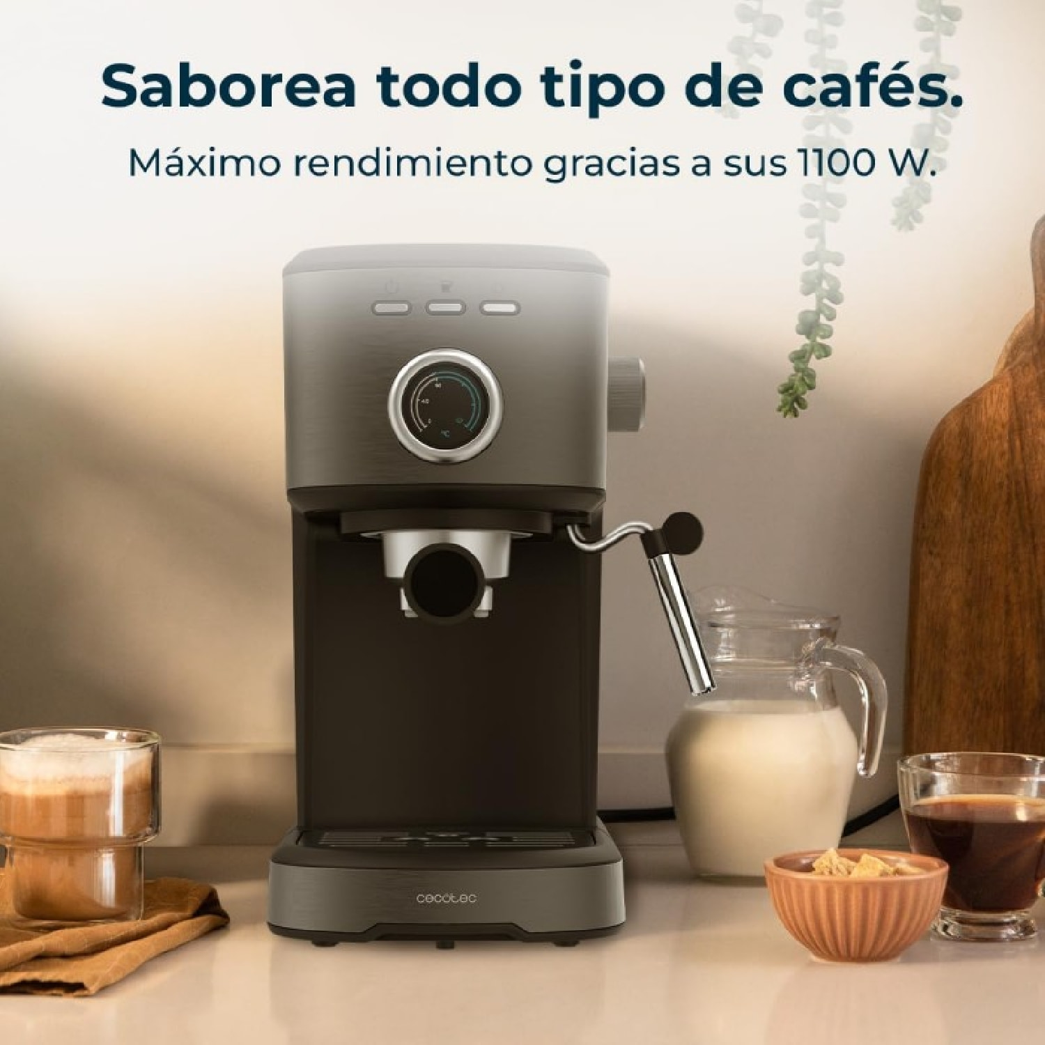 Cecotec Machine à café express Power Espresso 20 Pecan Steel