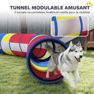 Kit agilité chien 12 pièces 4 tunnels sauts ajustables anneau slaloms frisbee balle et autres