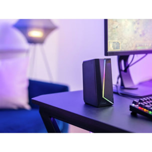 Enceinte PC TRUST ZOXA 2.0 RGB LED  GXT609