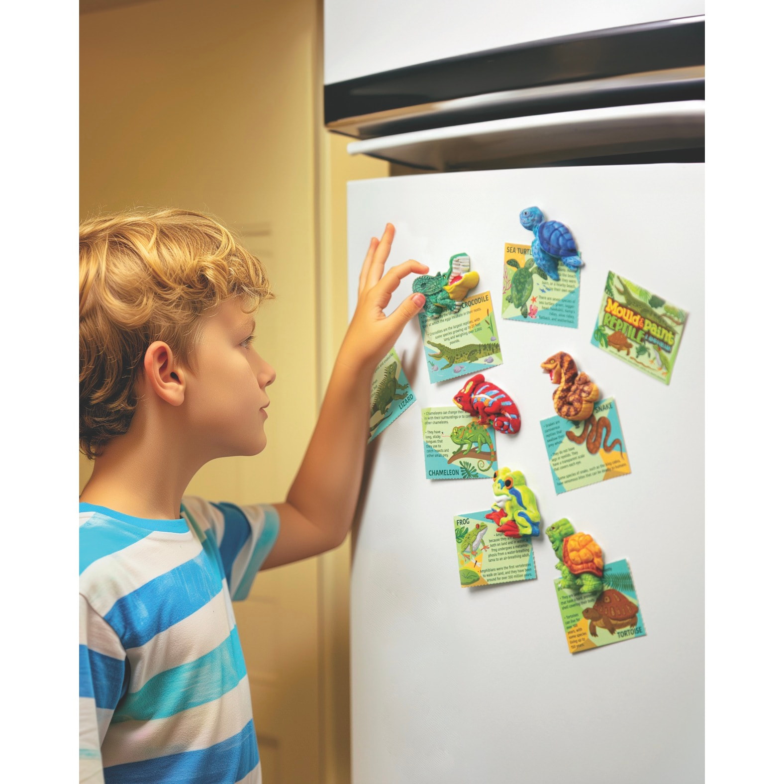 Modella & Dipingi Rettili e Anfibi