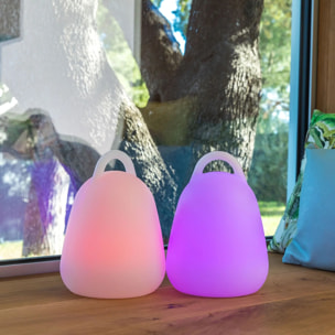 2 Lampe sans fil LIBERTY RGB H24CM