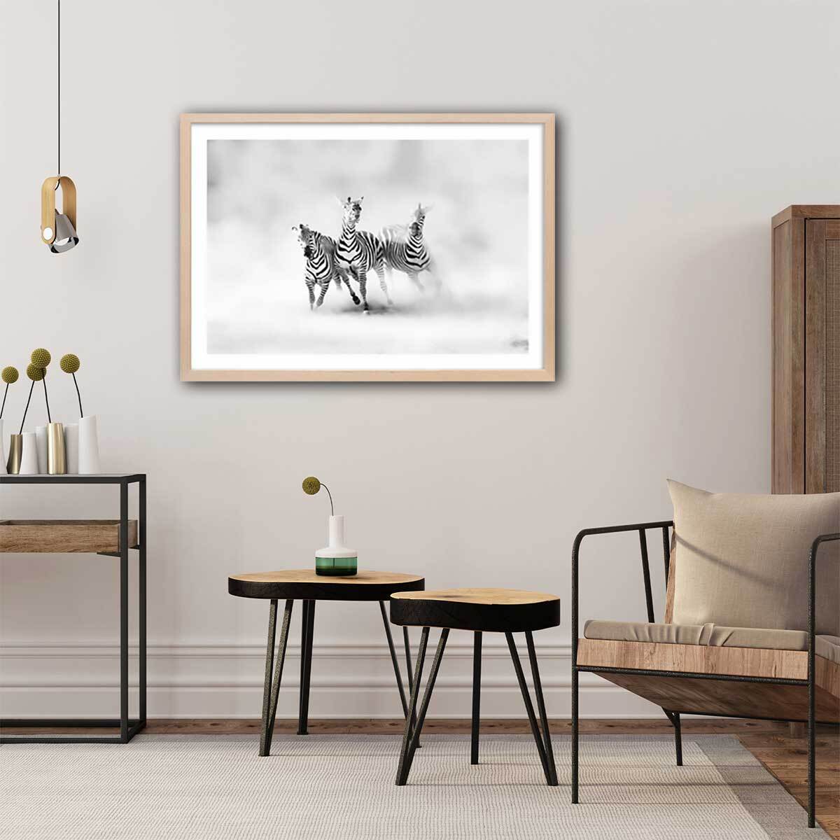 Affiche animaux racing stripes Affiche + cadre en bois - Chêne