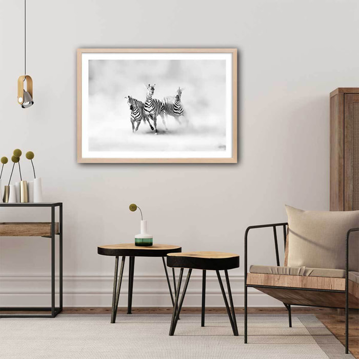 Affiche animaux racing stripes Affiche + cadre en bois - Chêne