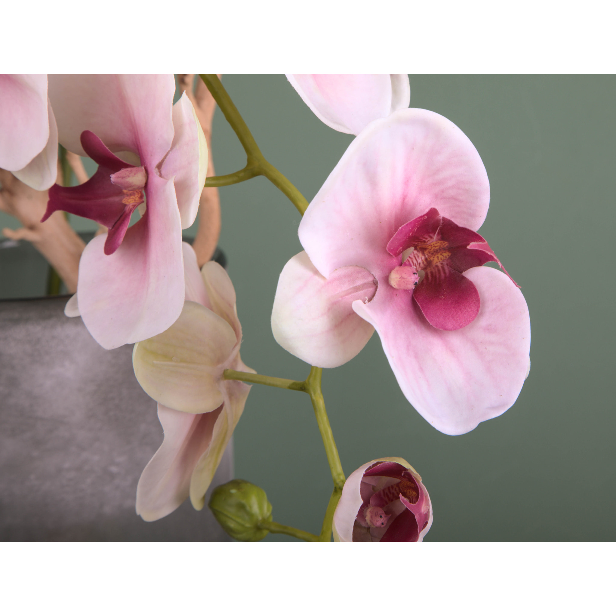 Phalaenopsis. Altezza 95 Cm - Pezzi 1 - 17X95X10cm - Colore: Bianco - Bianchi Dino - Fiori Artificiali