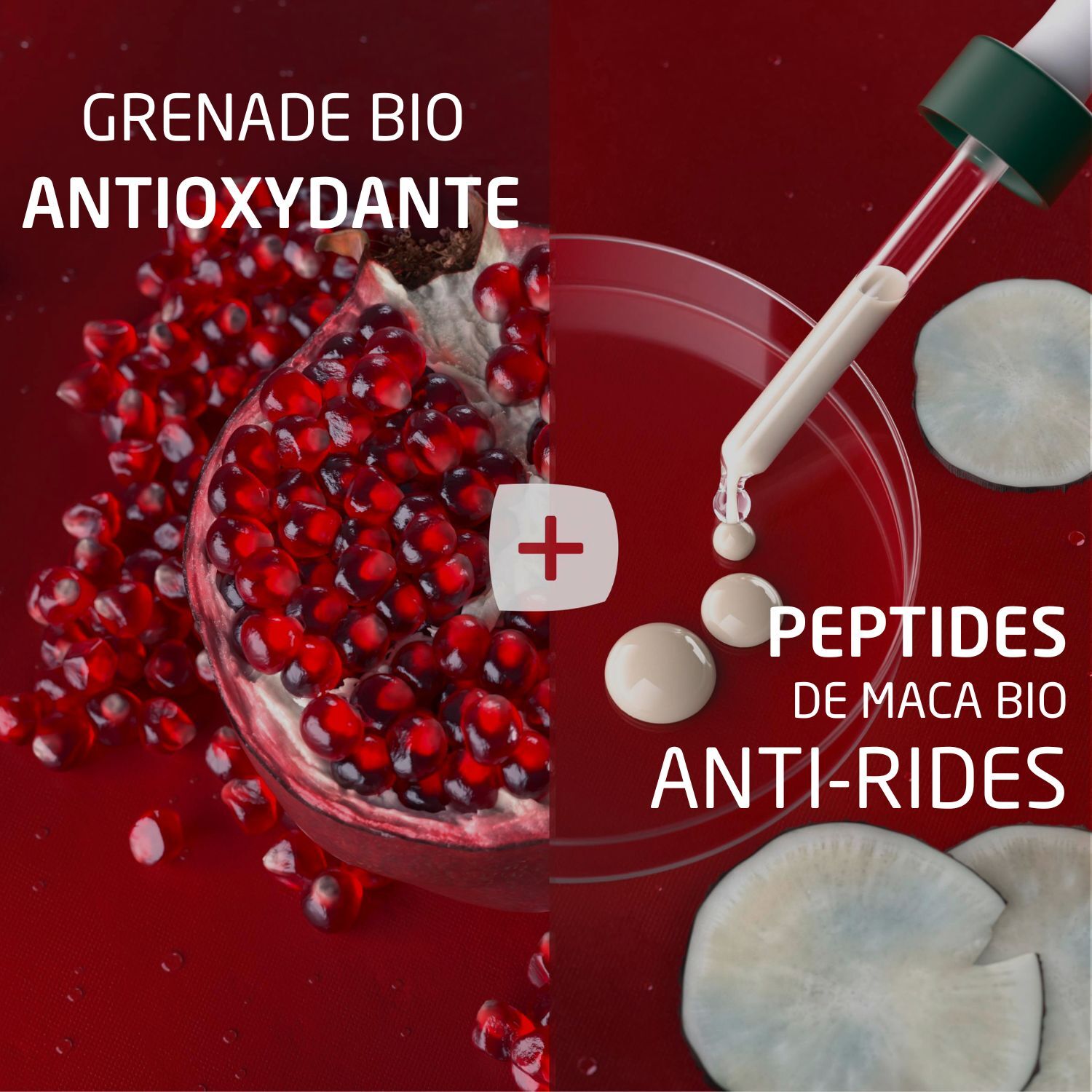 WELEDA - TROUSSE VISAGE GRENADE MACA : Crème de Jour + Sérum raffermissant - 40+30 ml