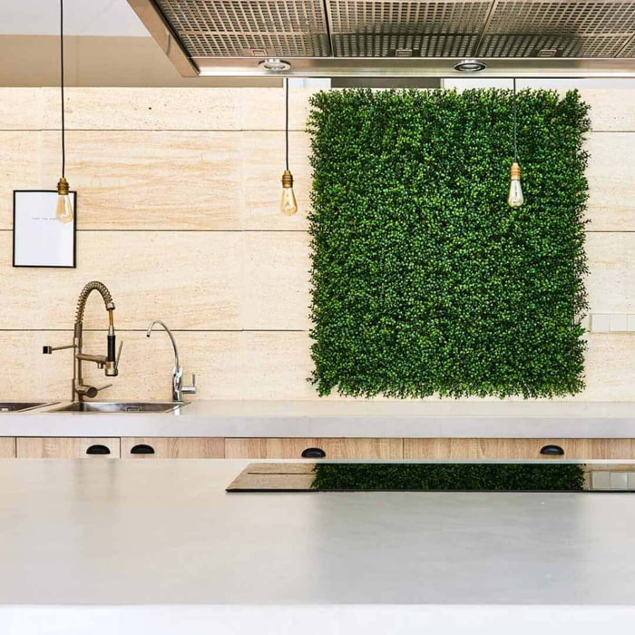 Rollo Jardin Vertical Boj 100 X 100 Cm
