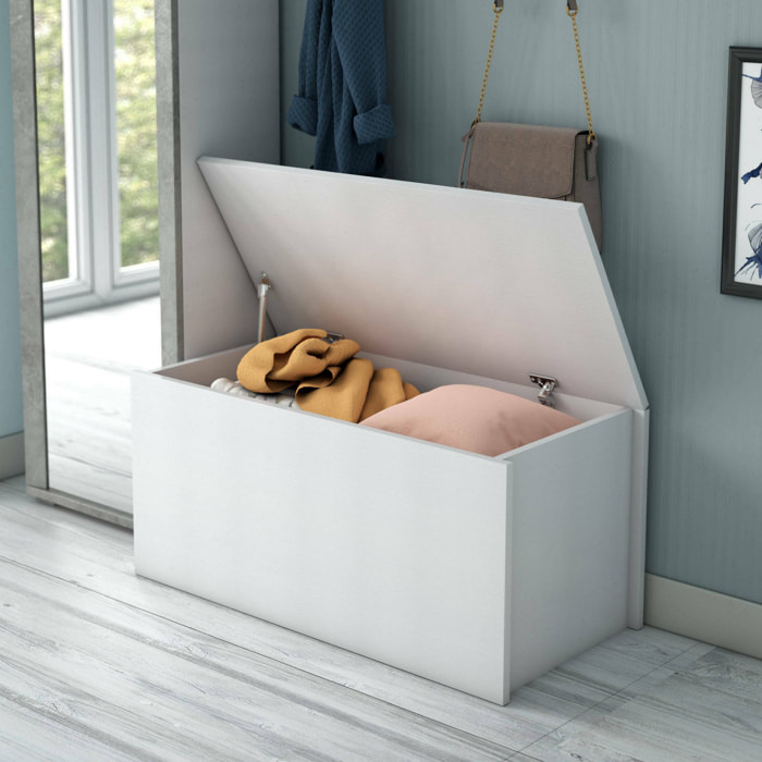 Baule Ayusnay, Capiente box contenitore multiuso, Cassapanca moderna, 100% Made in Italy, 90x45h45 cm, Bianco