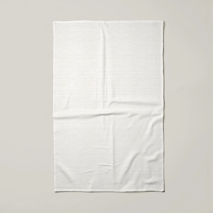 Lot de 2 torchons de cuisine 100% coton Salina