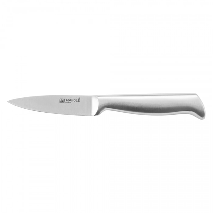 Couteau à Fruits Argent 20,5cm
