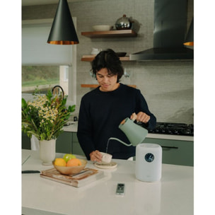Enceinte Multiroom WIIM Sound White with display