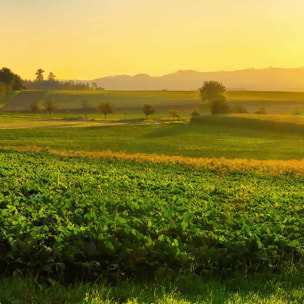 Affiche encadrée campagne au lever du soleil Affiche + cadre en métal - Noir