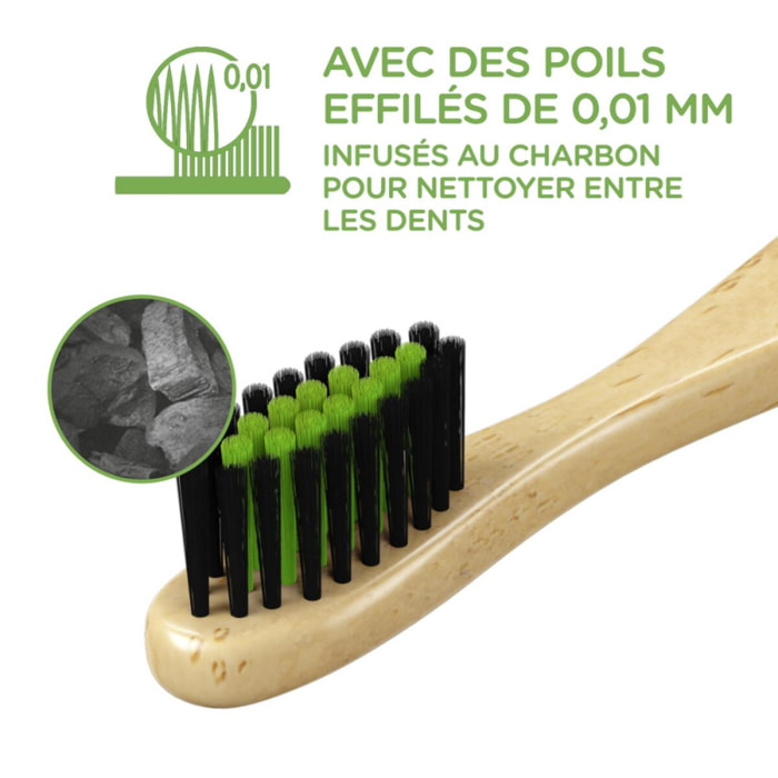 6 Brosses à dents SIGNAL Bambou Naturel Extra Souple avec des Poils Infusés au Charbon (Lot de 6)