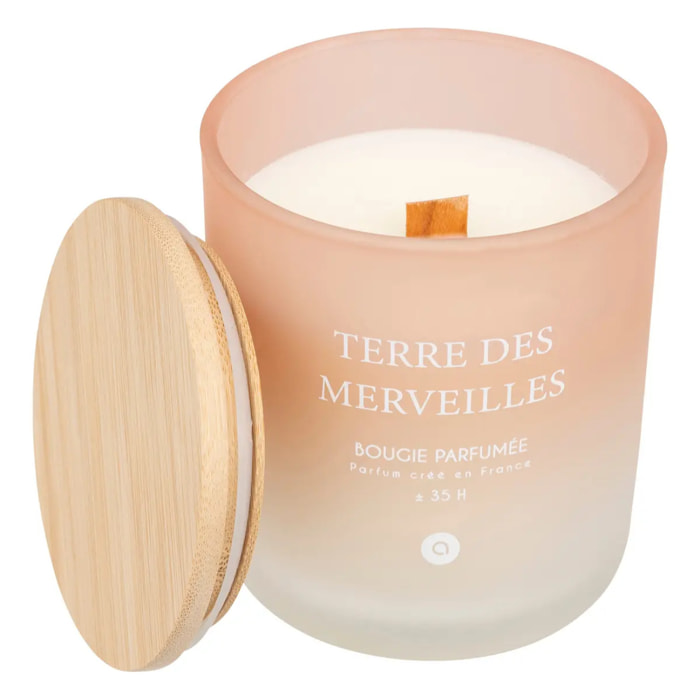 Bougie parfumée "Terre des merveilles" pétales de musc 255g