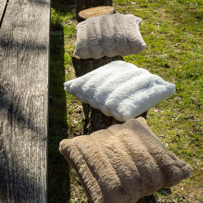 Coussin Astrid
