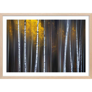 Affiche paysage Rideau d'automne Affiche sous cadre bois