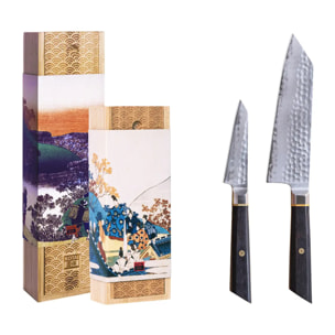 Set Básico de Cuchillos (2 piezas) - Colección Bunka San-Mai