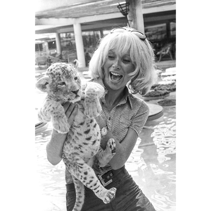 Tableau cinema vintage mireille darc et un léopard  Tableau plexiglas