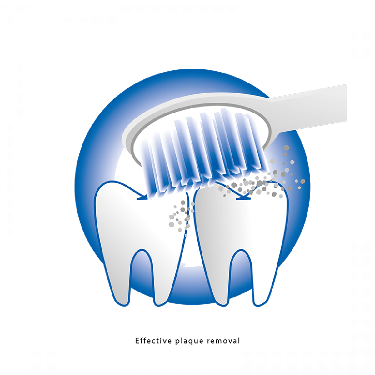 Brosse à dent électrique Proficare PC-EZS 3000 Blanc