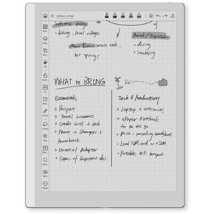Liseuse eBook BOOX Go 10.3 2e gen