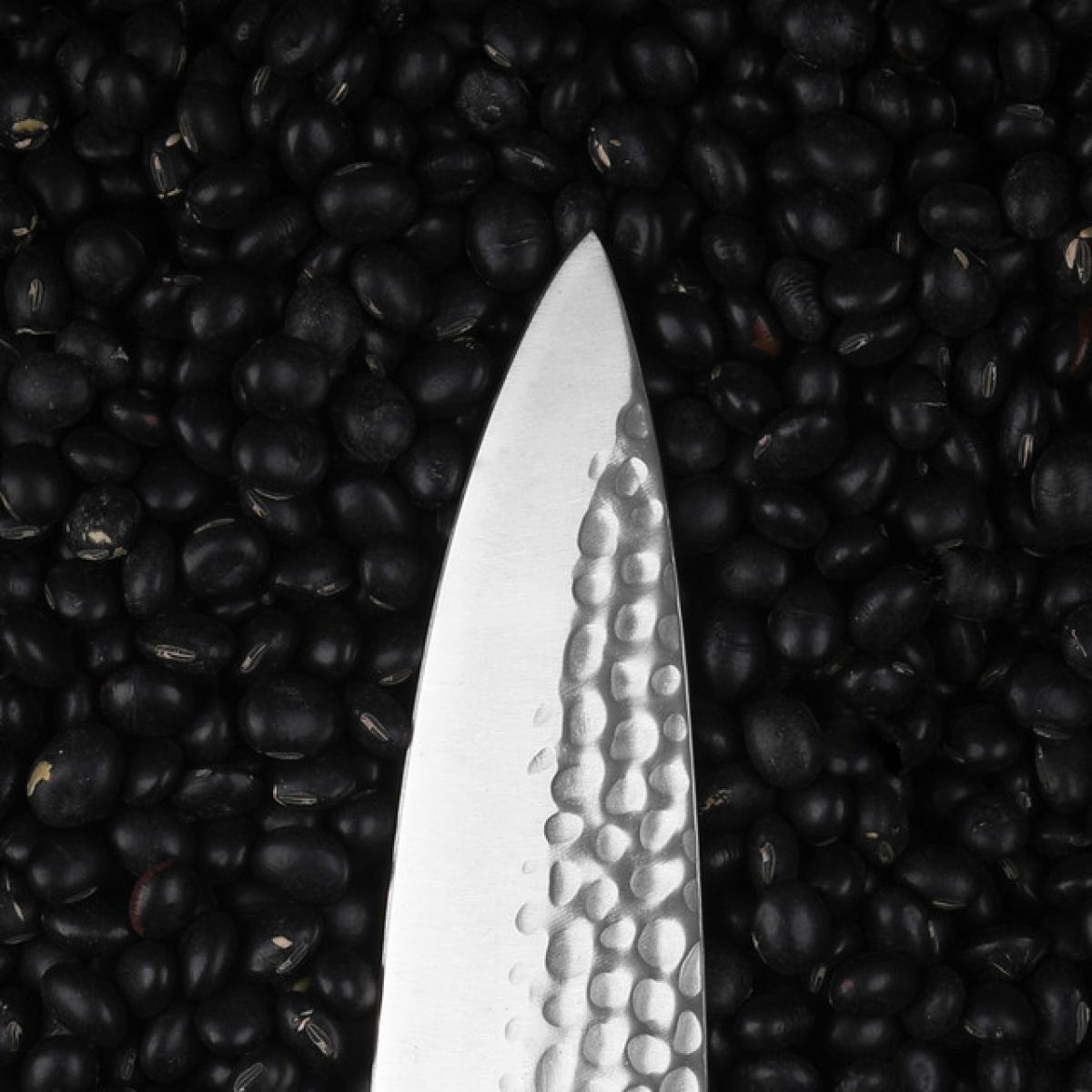 Couteau de Chef Gyuto | Lame 200 mm | Acier Inoxydable | Lame Japonaise 440C