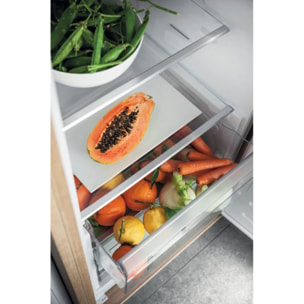 Réfrigérateur 1 porte encastrable HOTPOINT ZSB18012 Freezer