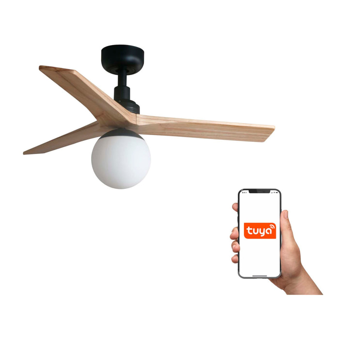 KLIM S Ventilateur de plafond noir/bois chêne E27 TUYA