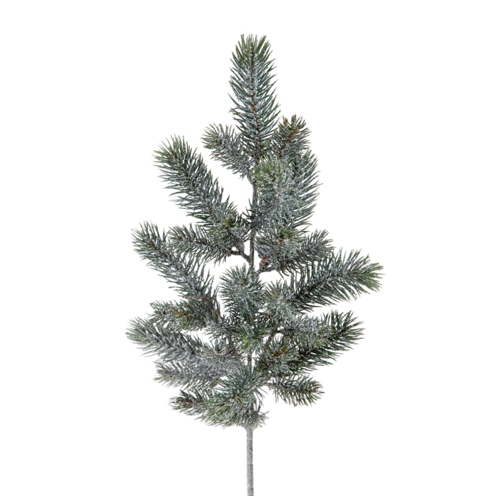 Abete ramo - Pezzi 12 - 21xH65x19cm - Bianchi Dino SpA