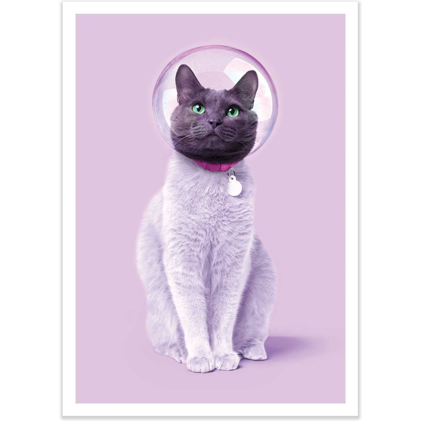 Affiche - Space cat - Paul Fuentes