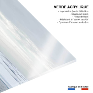 Tableau ours blanc sur la banquise Tableau plexiglas