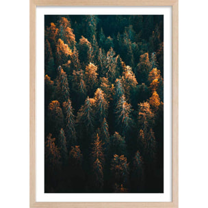 Affiche paysage couleur d'automne en haute savoie Affiche + cadre en bois - Chêne