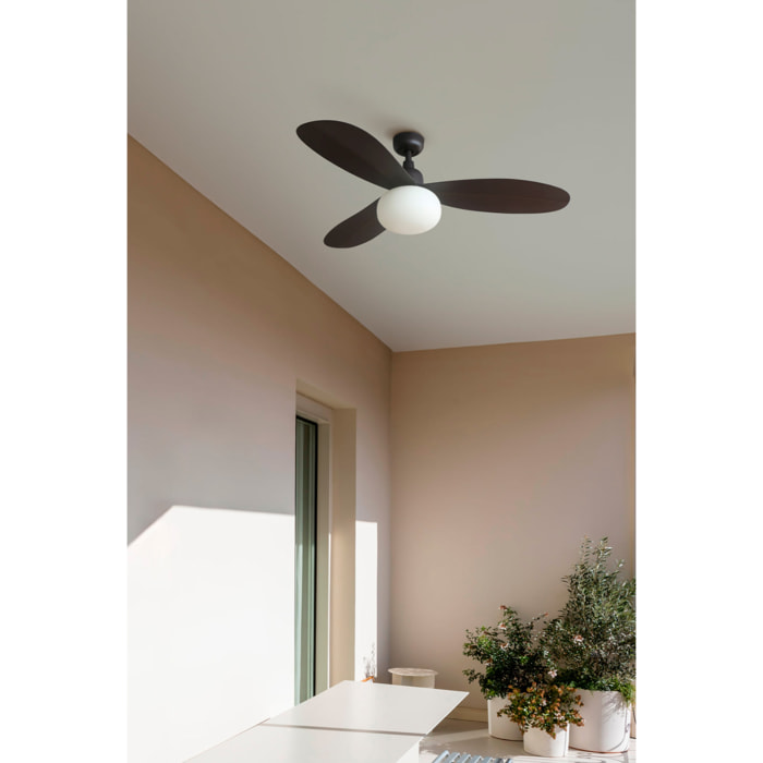 PALMA M Ventilador marrón IP44 E27