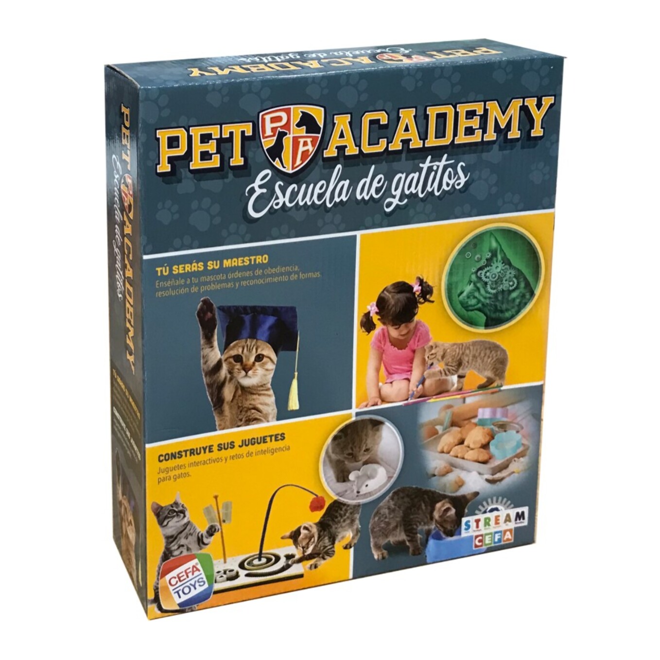 PET ACADEMY, ESCUELA DE GATITOS