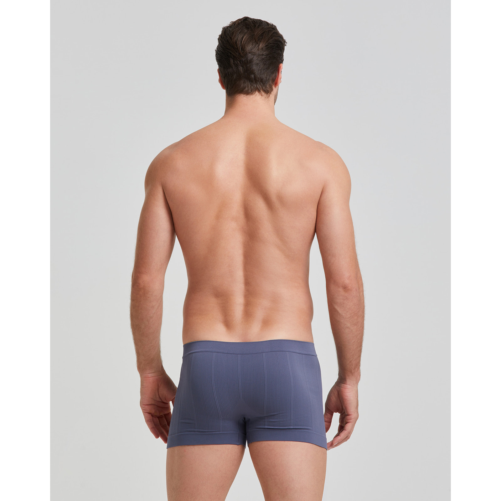Boxer coste new moving seamless