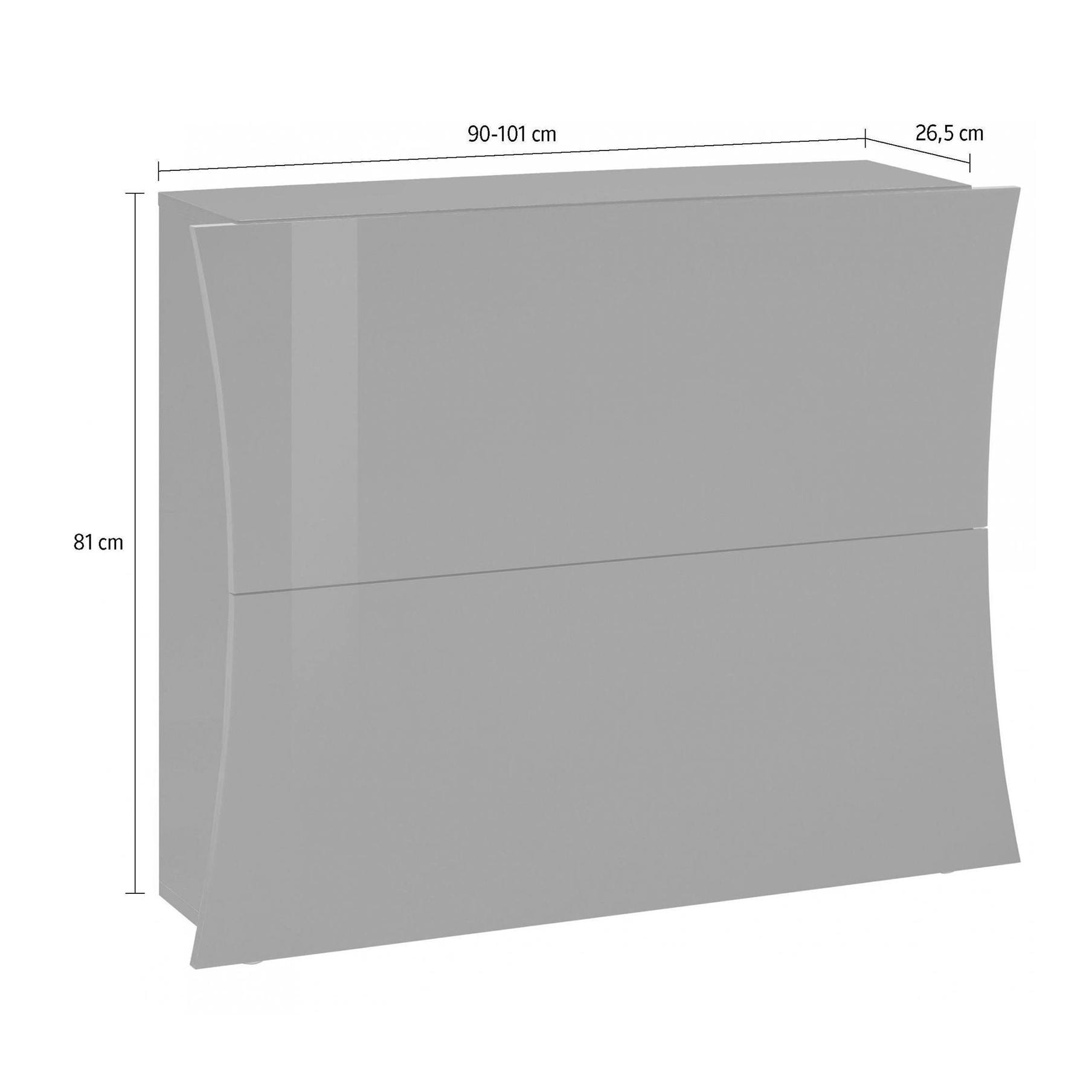 Scarpiera moderna, Made in Italy, a 2 ante, Portascarpe da ingresso, cm 101x27h82, colore Bianco lucido