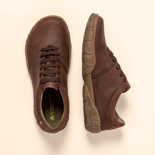 Zapatos N5616 PLEASANT BROWN / TURTLE color Brown