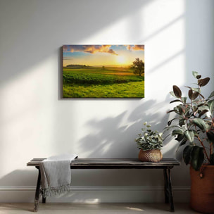 Tableau campagne dorée au soleil levant Toile imprimée
