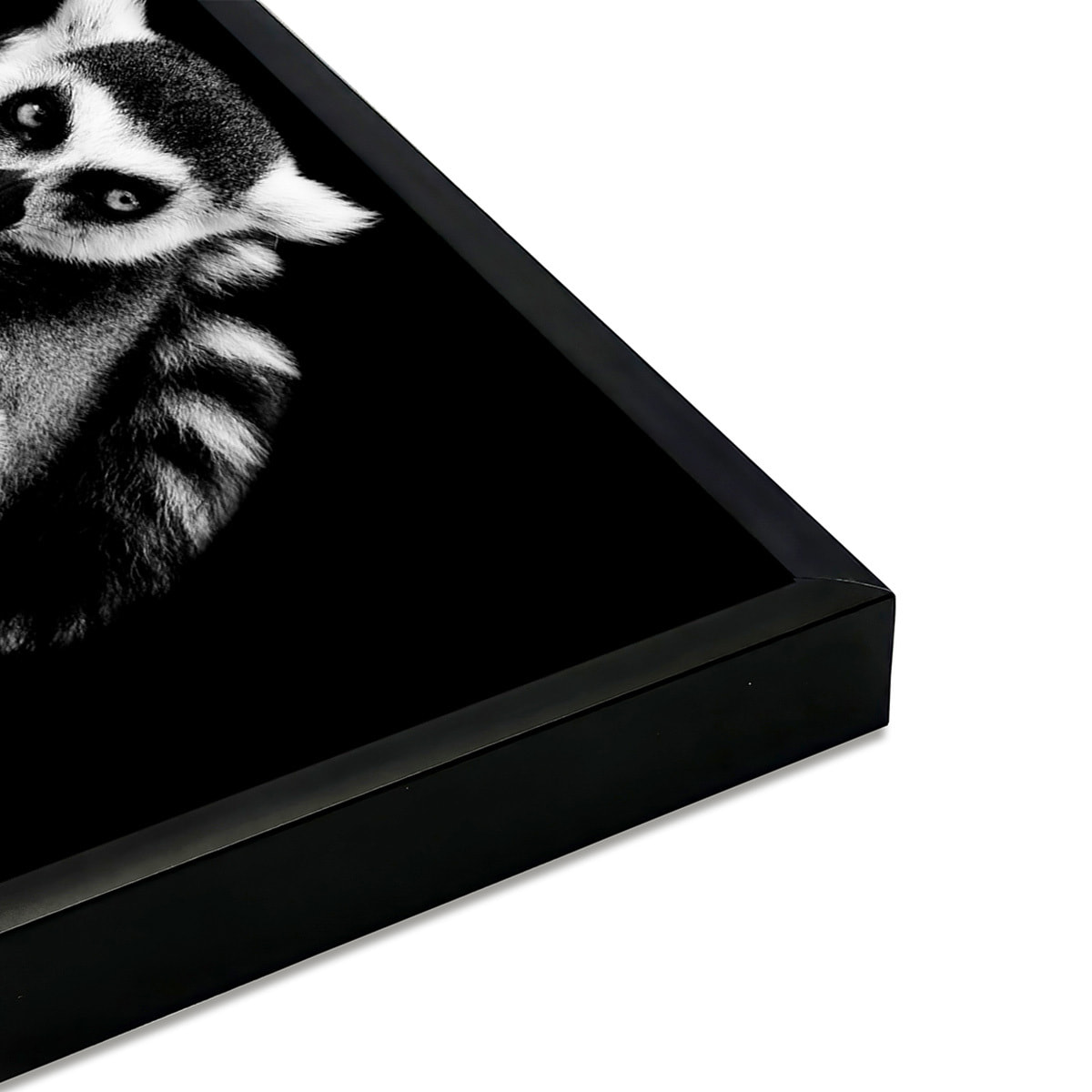 Affiche encadrée lémurien en noir et blanc Affiche + cadre en métal - Noir