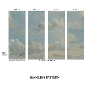 Carta da Parati Cielo Dipinto