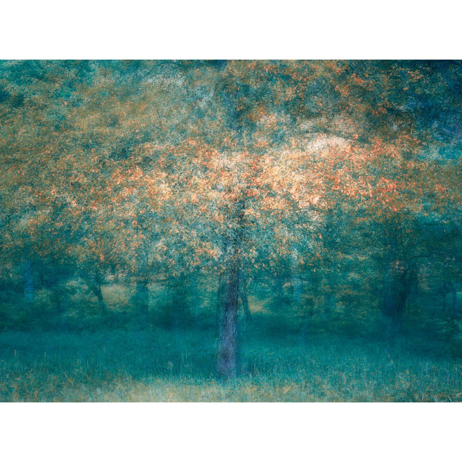 Papier peint panoramique Forêt Bleue Intissé